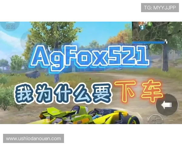 运用AG电子游戏技巧，提高游戏的娱乐性和收益率